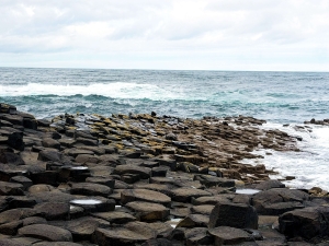 Giants Causeway and Ocean - Odyssey Coach Tours.jpf Giants Causeway Day Tours with Odyssey Coach Tours